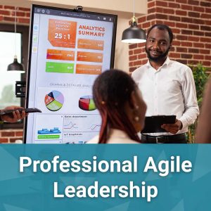 Professional Agile Leadership