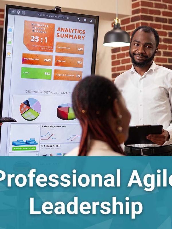 Professional Agile Leadership