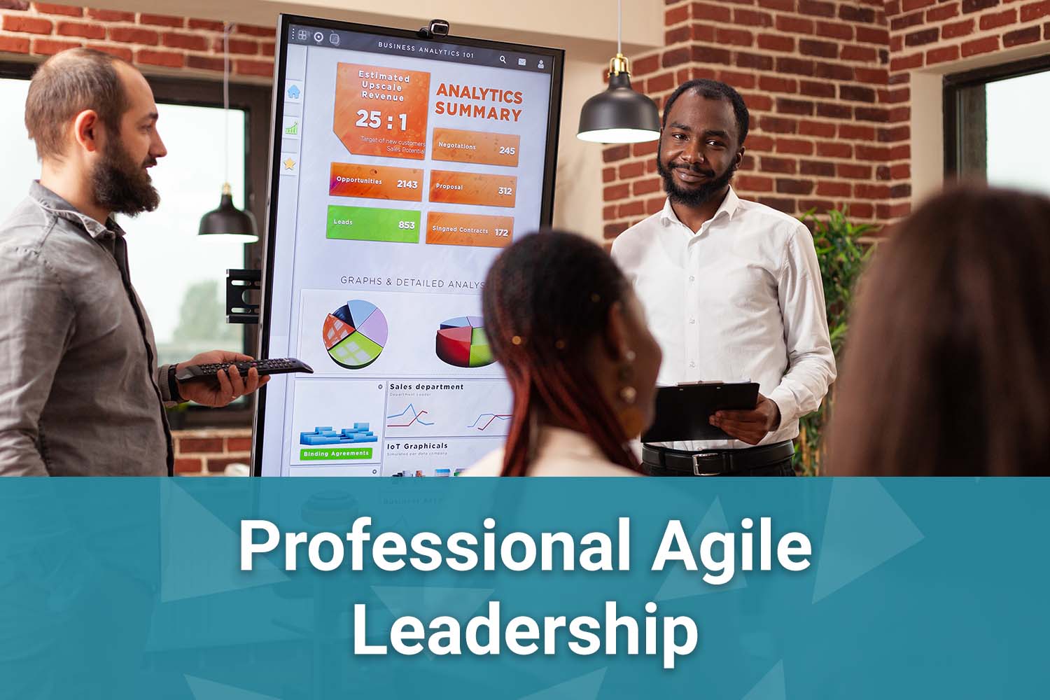 Professional Agile Leadership
