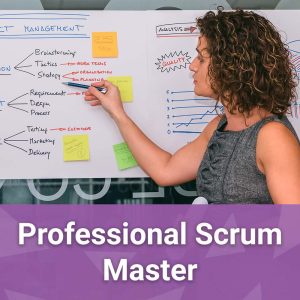 Professional Scrum Master