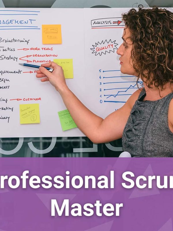 Professional Scrum Master