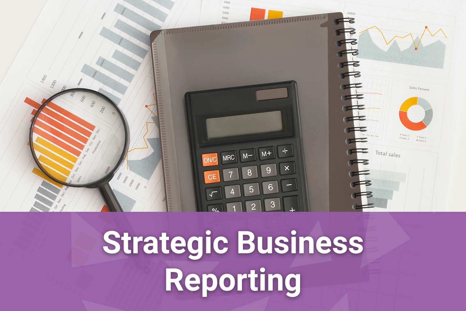 Strategic Business Reporting