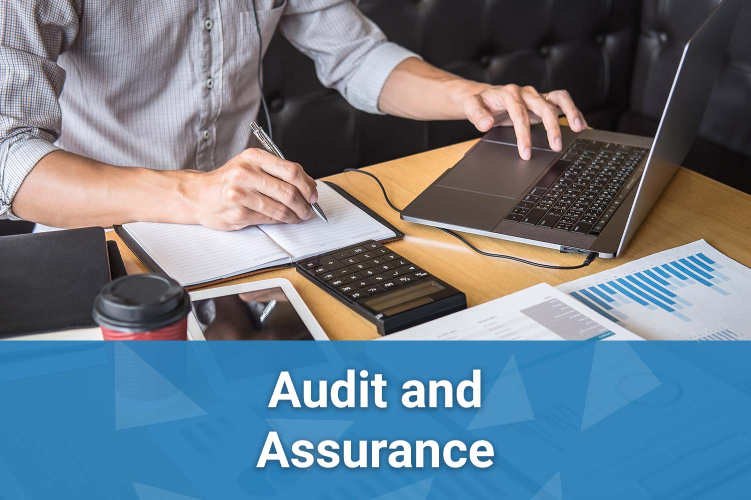 CPA Audit and Assurance
